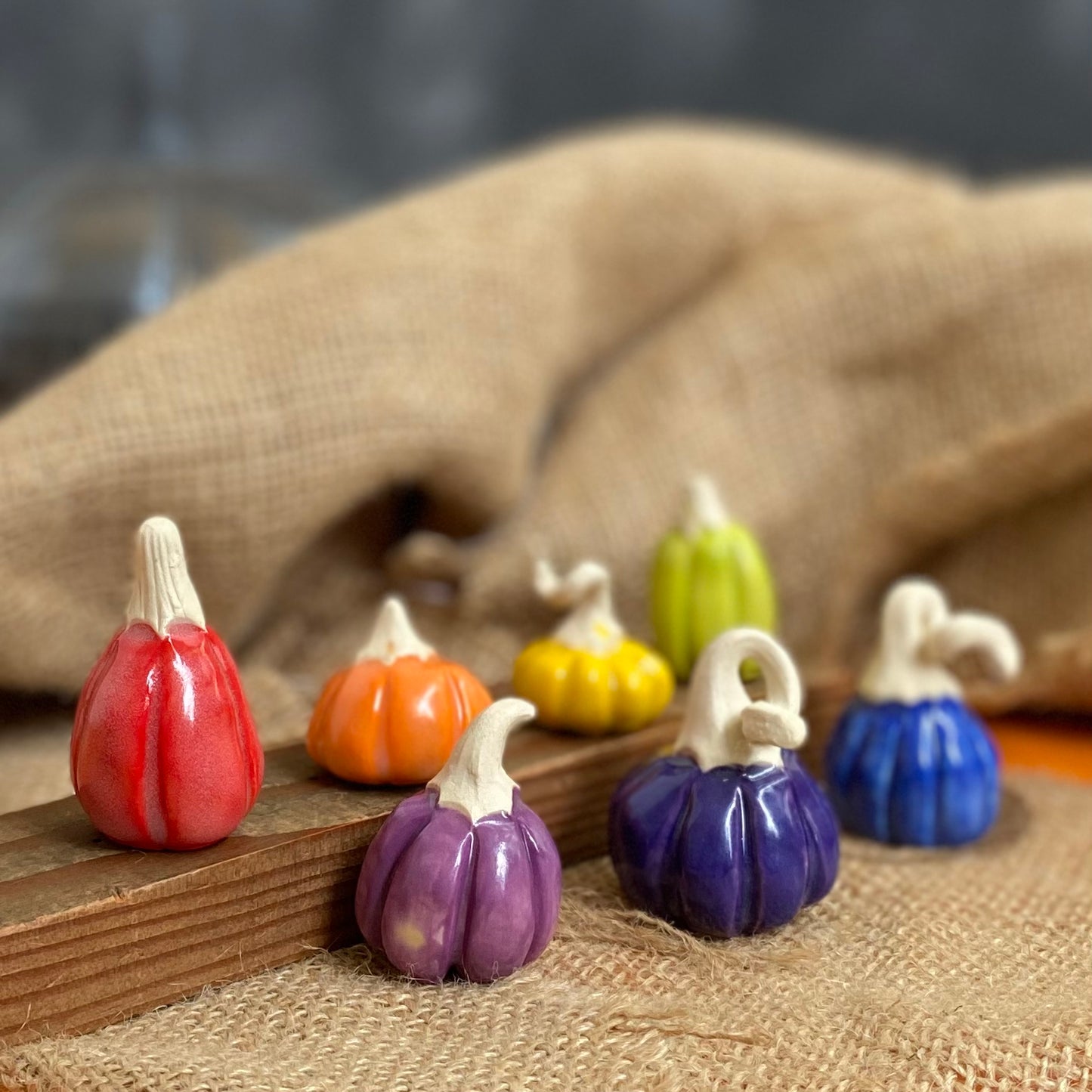 rainbow pumpkins (set of 7)