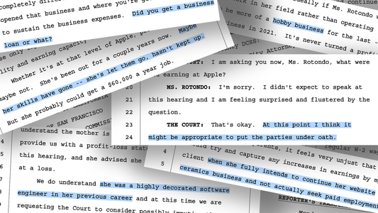 excerpts from court transcripts with phrases highlighted like "hobby business"