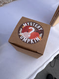 mystery pumpkin