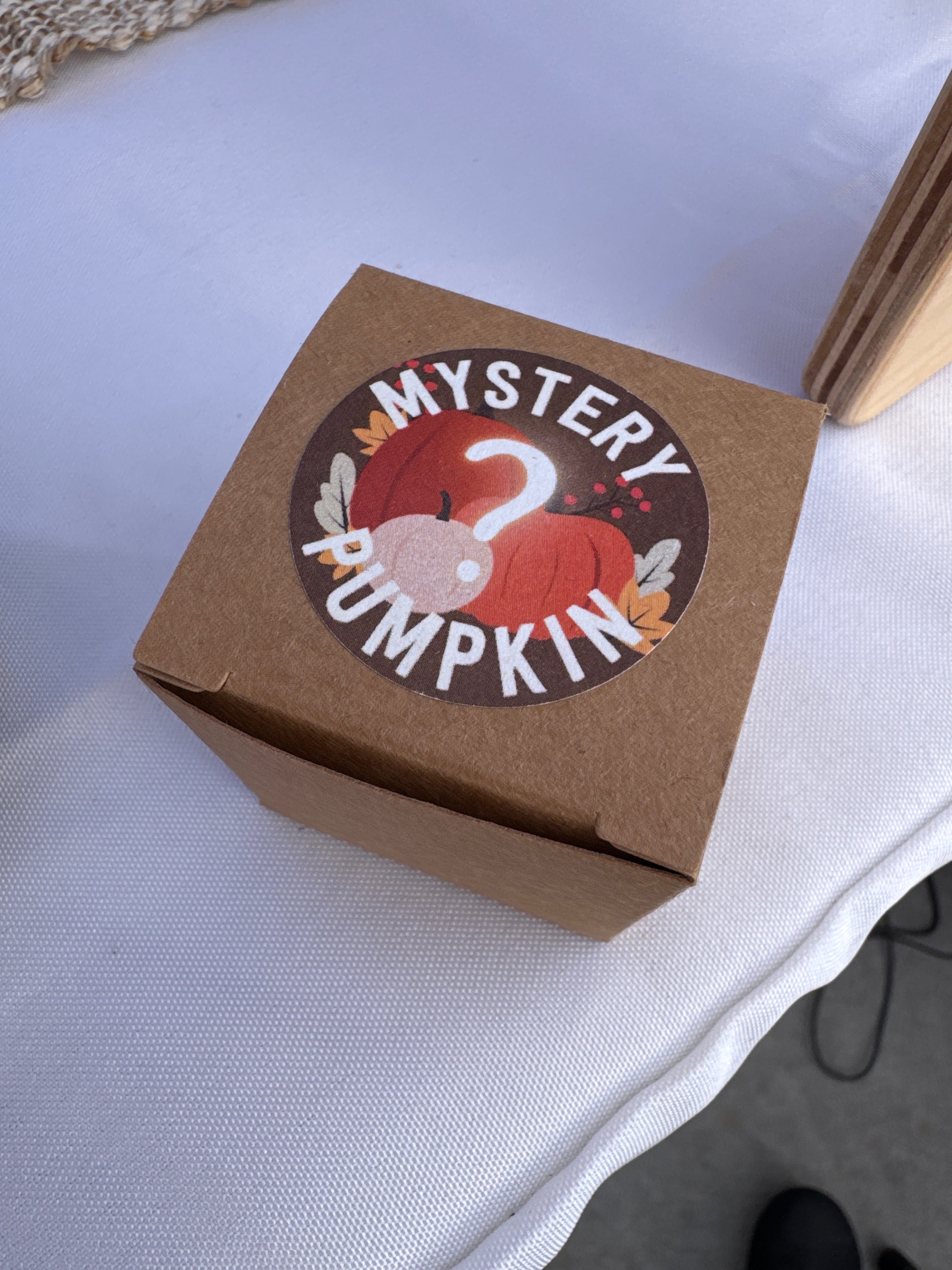 mystery pumpkin
