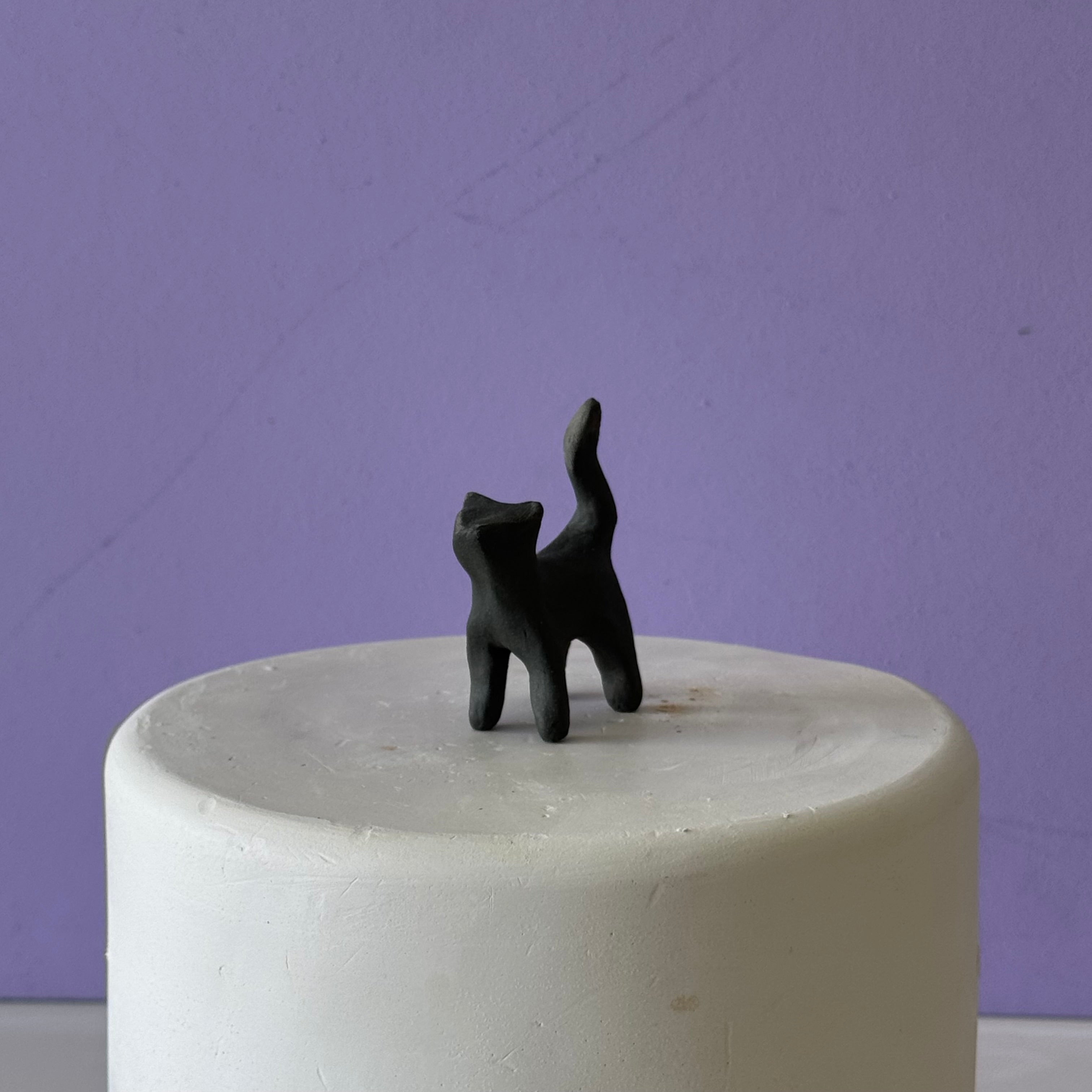 black cat