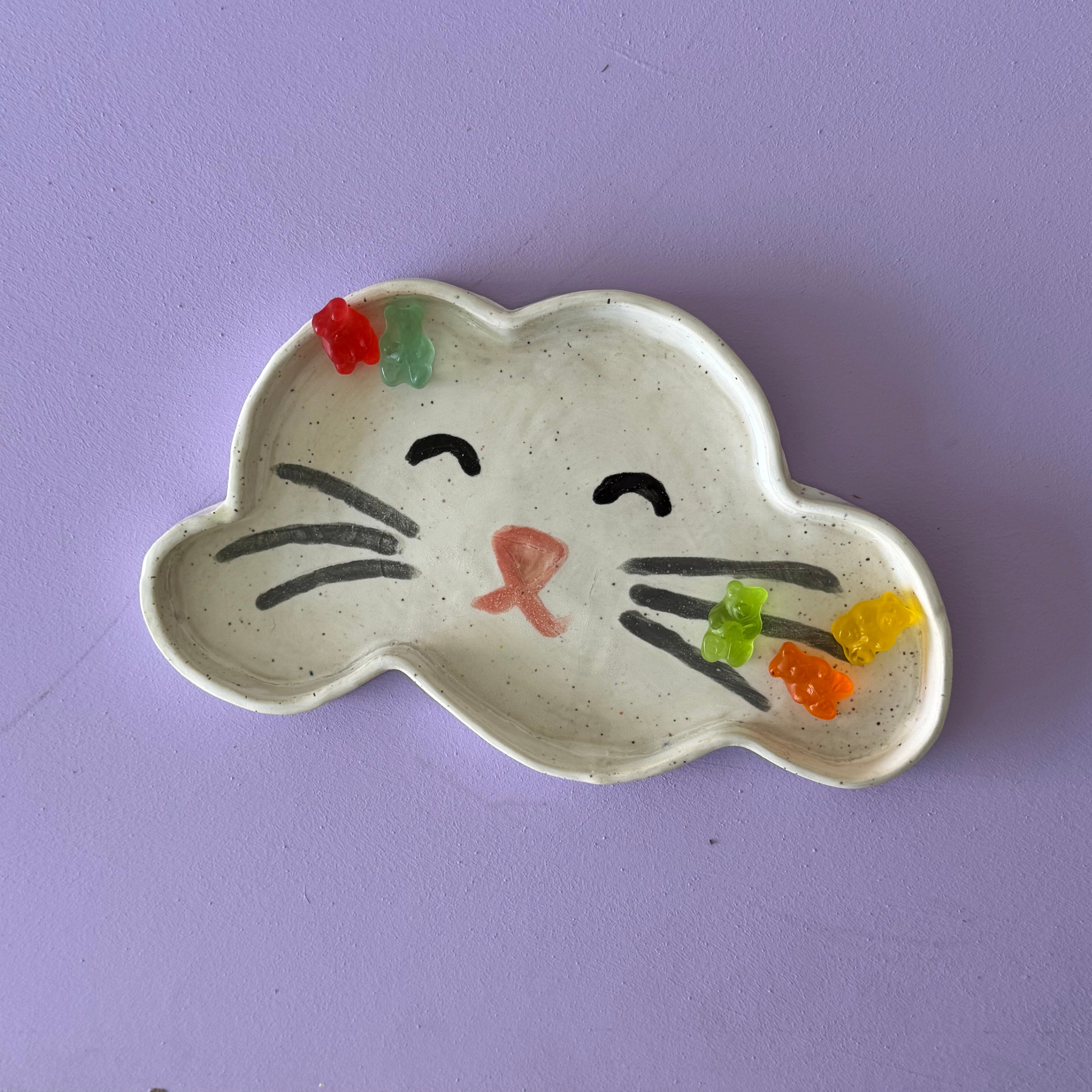 cat cloud tray