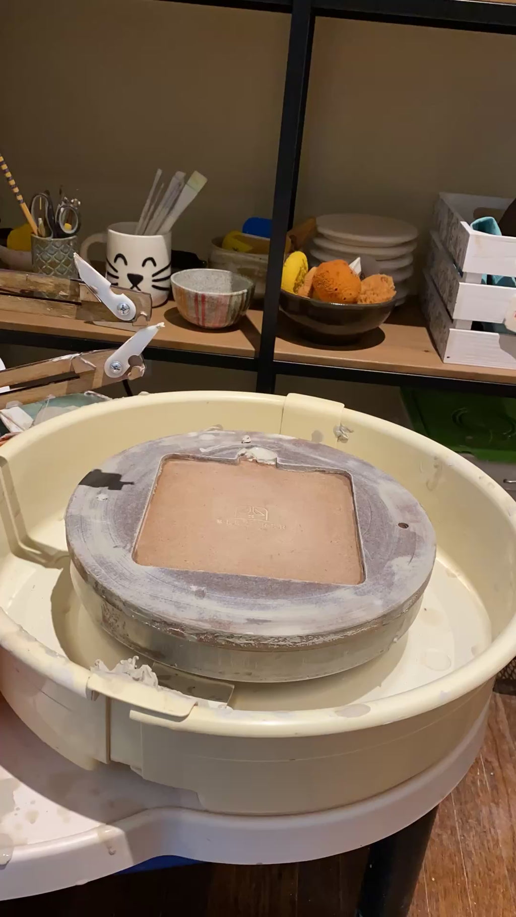 beginning throwing